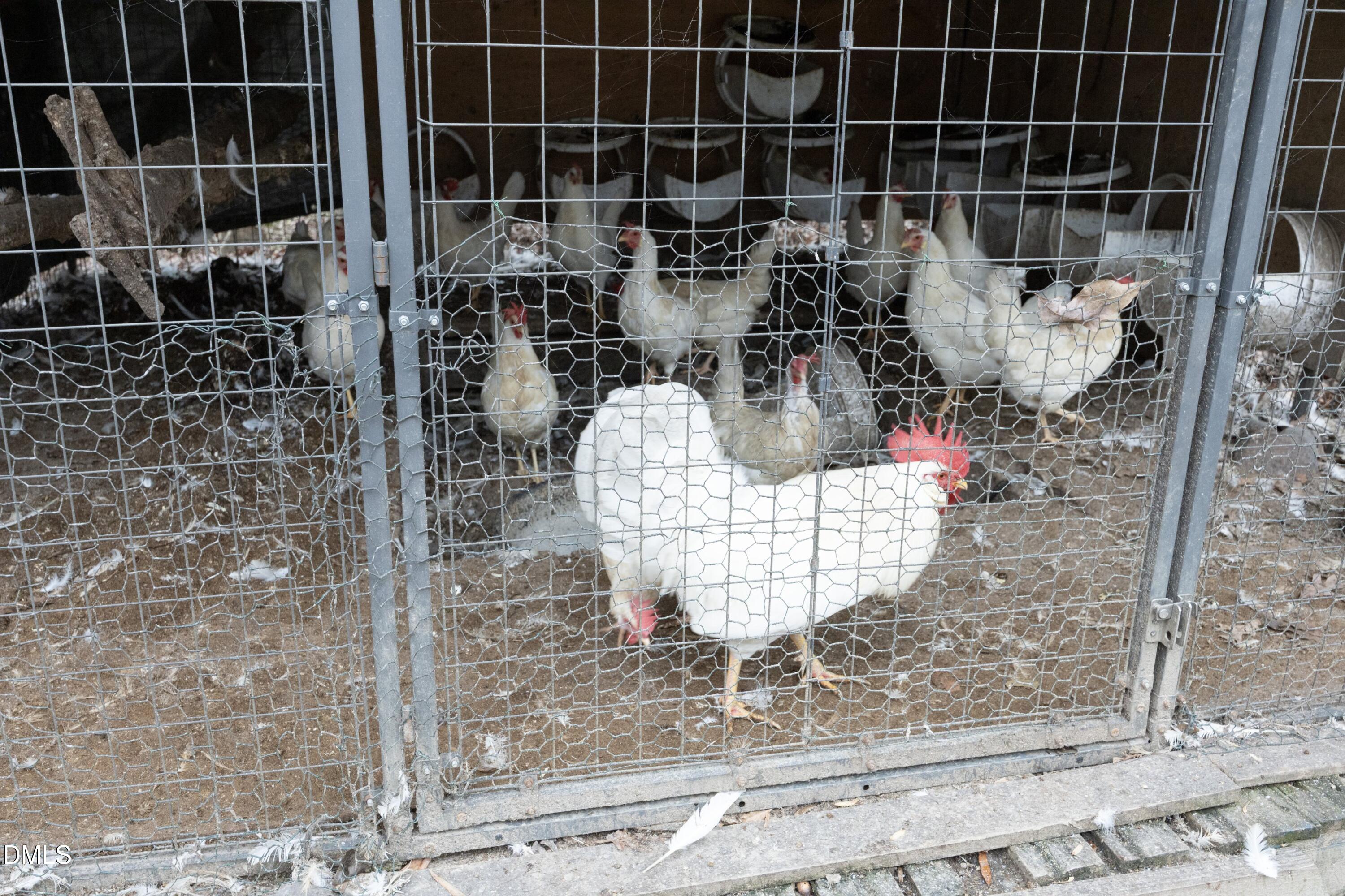 7117 Sunset Lake Road Fuquay-Varina, NC 27526 - Photo 40 of 41 a close view of water heater