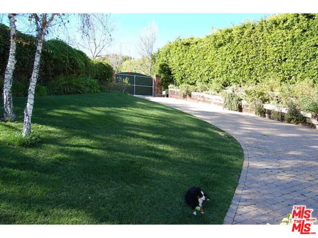 a view of a backyard