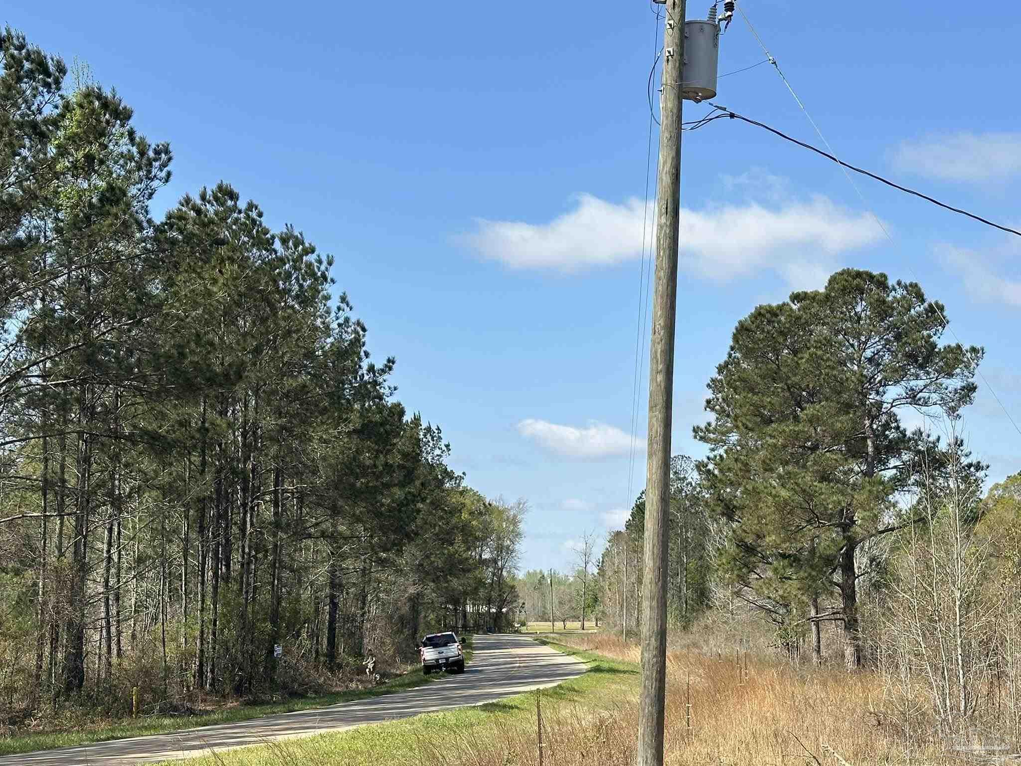 Lot E Lot E Snider Road Frisco City, AL 36445 - Photo 9 of 11