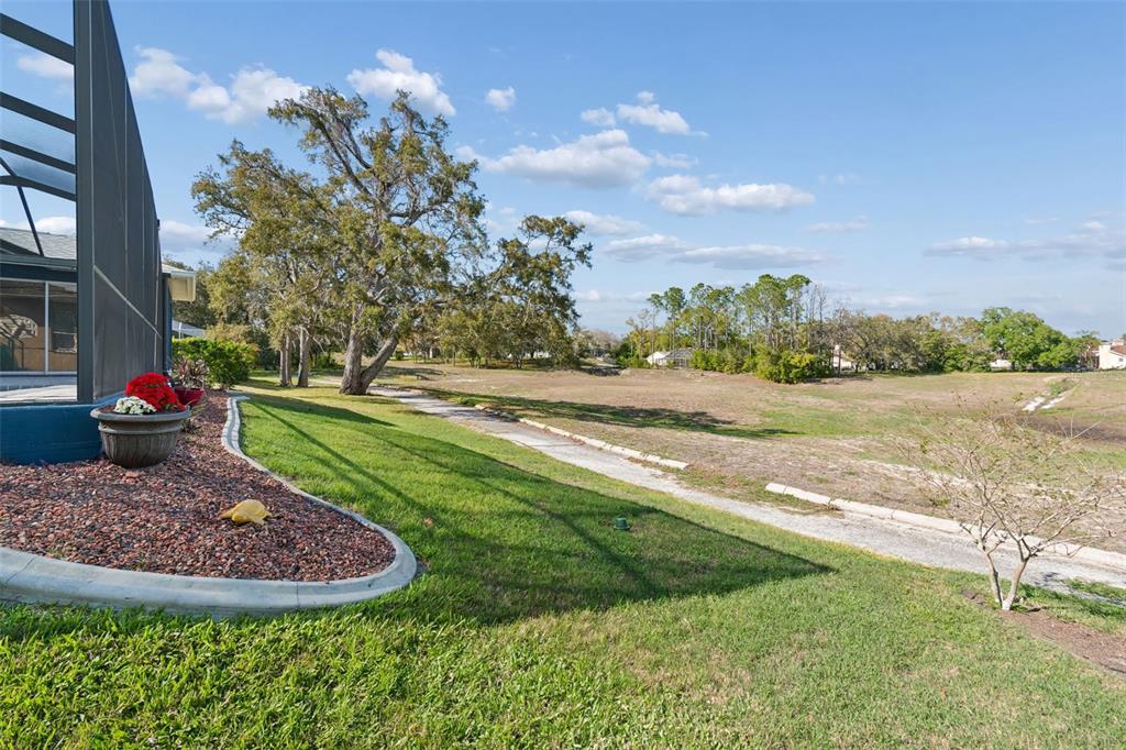 11017 Audie Brook Drive Spring Hill, FL 34608 - Photo 57 of 67 a view of a backyard