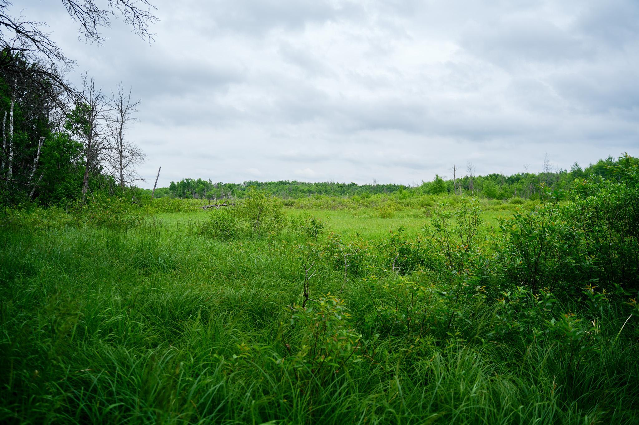 25820 County Road 26 Sebeka, MN 56477 - Photo 26 of 103
