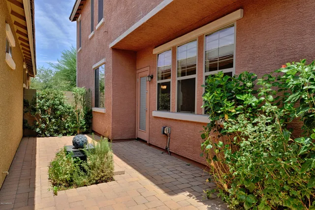 a potted plant sitting in front of a door