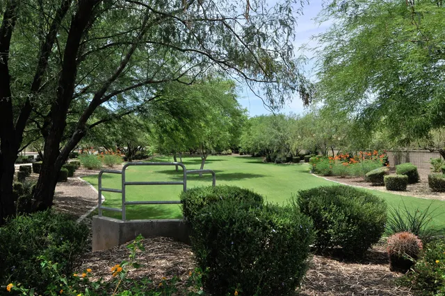 a view of swimming pool with outdoor seating and a potted plant
