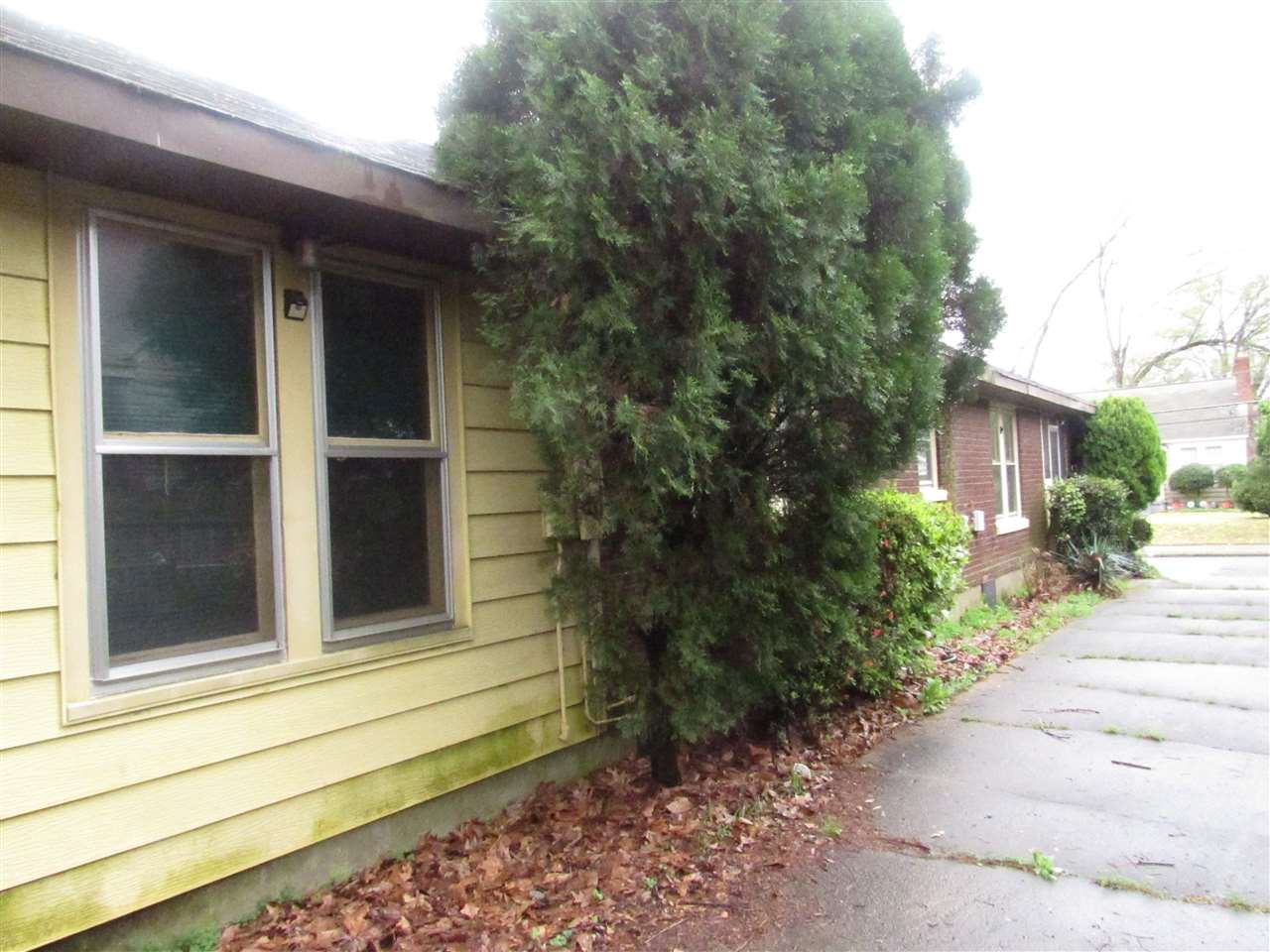 764 Spring Street Memphis, TN 38112 - Photo 2 of 9