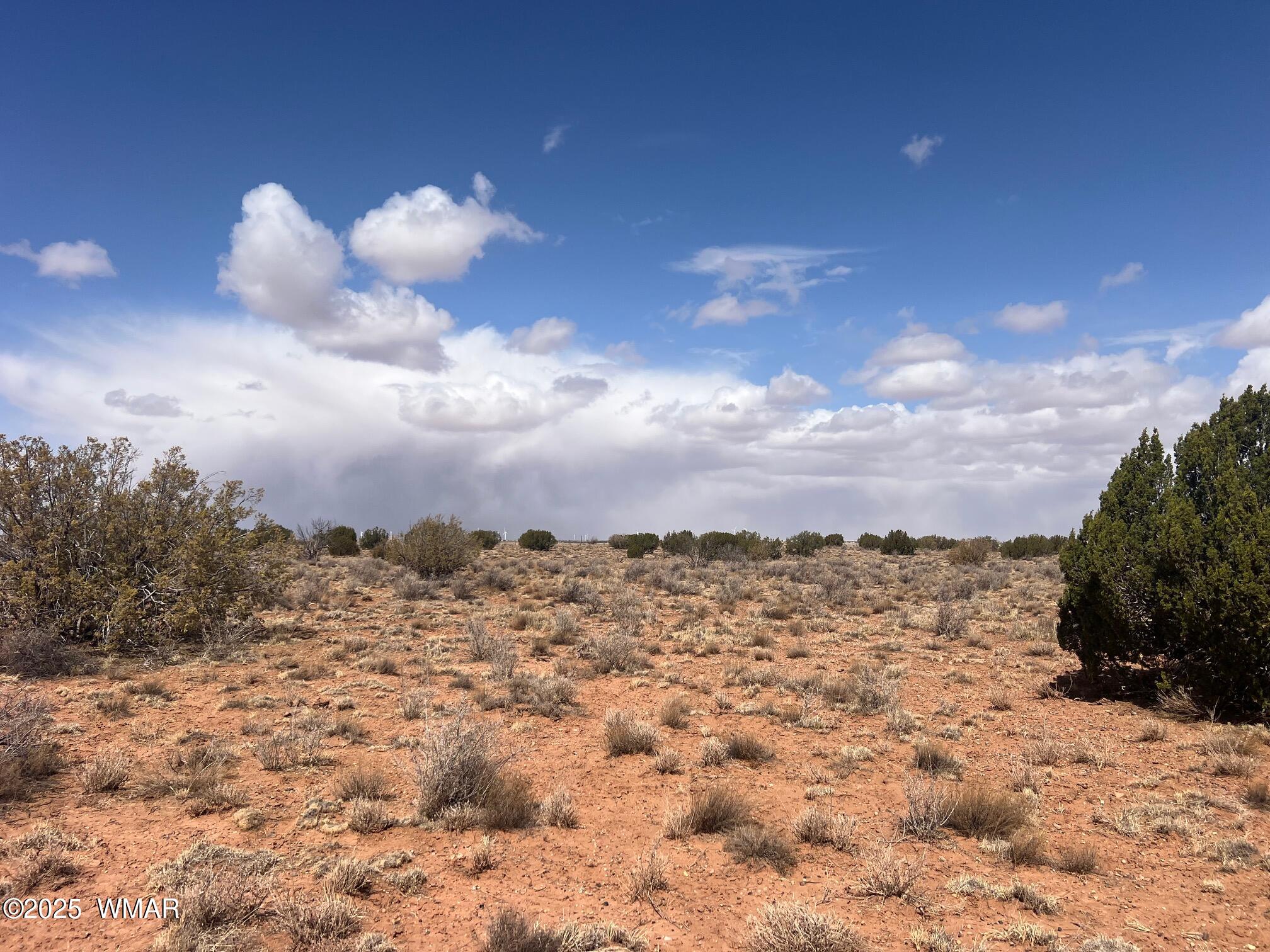 575 Woodridge Ranch Snowflake, AZ 85937 - Photo 7 of 12 IMG_6276