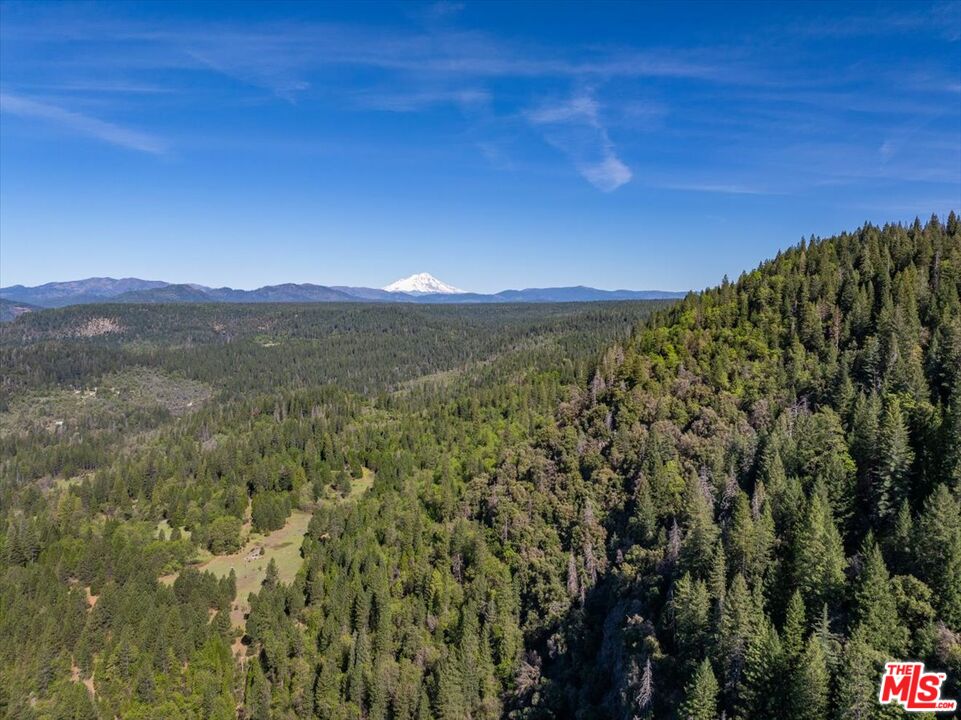 20441 Cove Road Montgomery Creek, CA 96065 - Photo 11 of 42