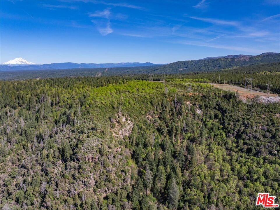 20441 Cove Road Montgomery Creek, CA 96065 - Photo 31 of 42