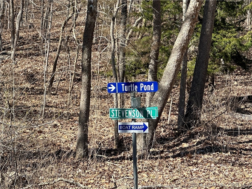 Lot 1635 Baul Lane Edwards, MO 65326 - Photo 11 of 14