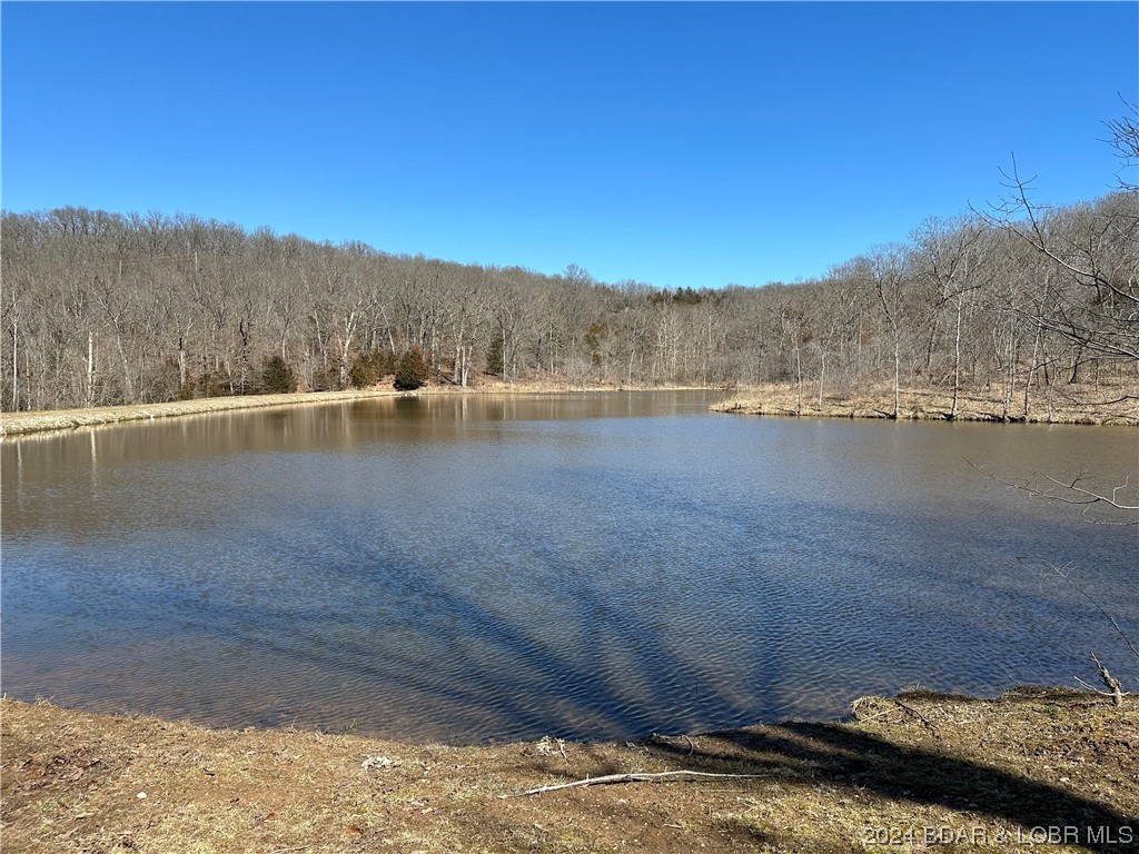 Lot 1635 Baul Lane Edwards, MO 65326 - Photo 12 of 14 Great Fishing at Turtle Pond
