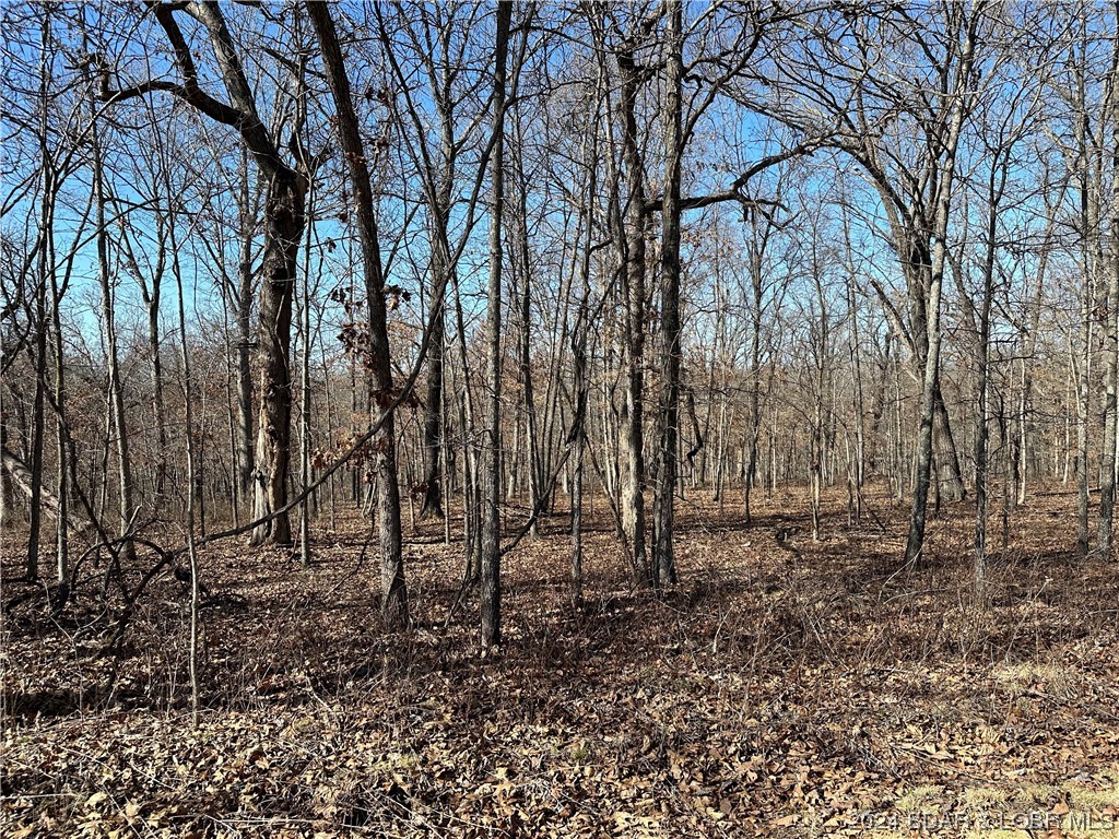 Lot 1635 Baul Lane Edwards, MO 65326 - Photo 2 of 14 5.7 Acres mostly level land