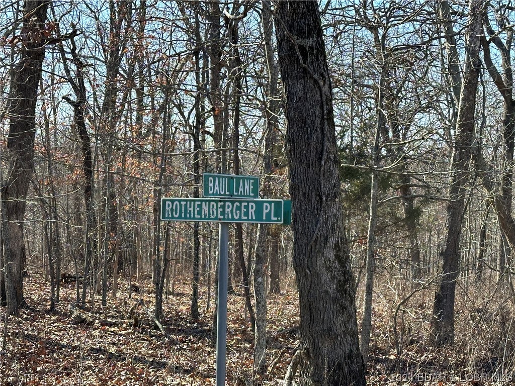 Lot 1635 Baul Lane Edwards, MO 65326 - Photo 6 of 14