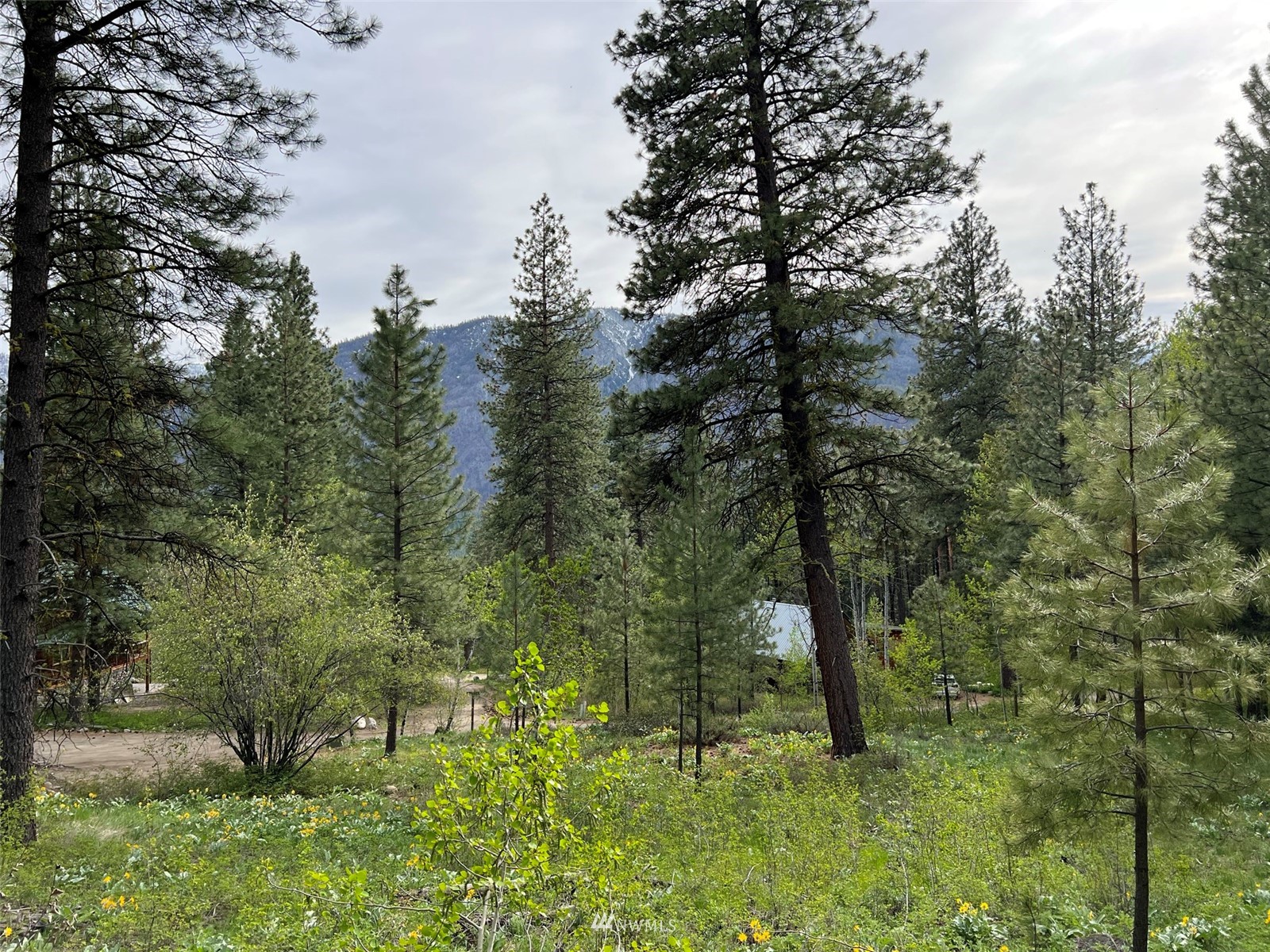20 Trillium Road Winthrop, WA 98862 - Photo 11 of 15 a big yard with lots of green space and plants