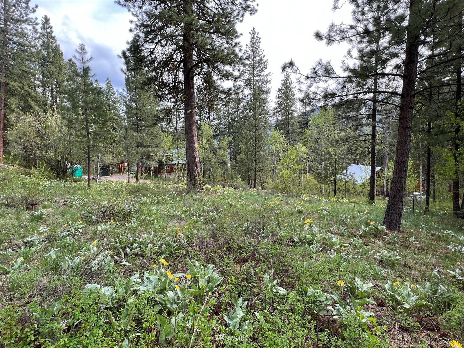 20 Trillium Road Winthrop, WA 98862 - Photo 3 of 15 a big yard with lots of green space and deers