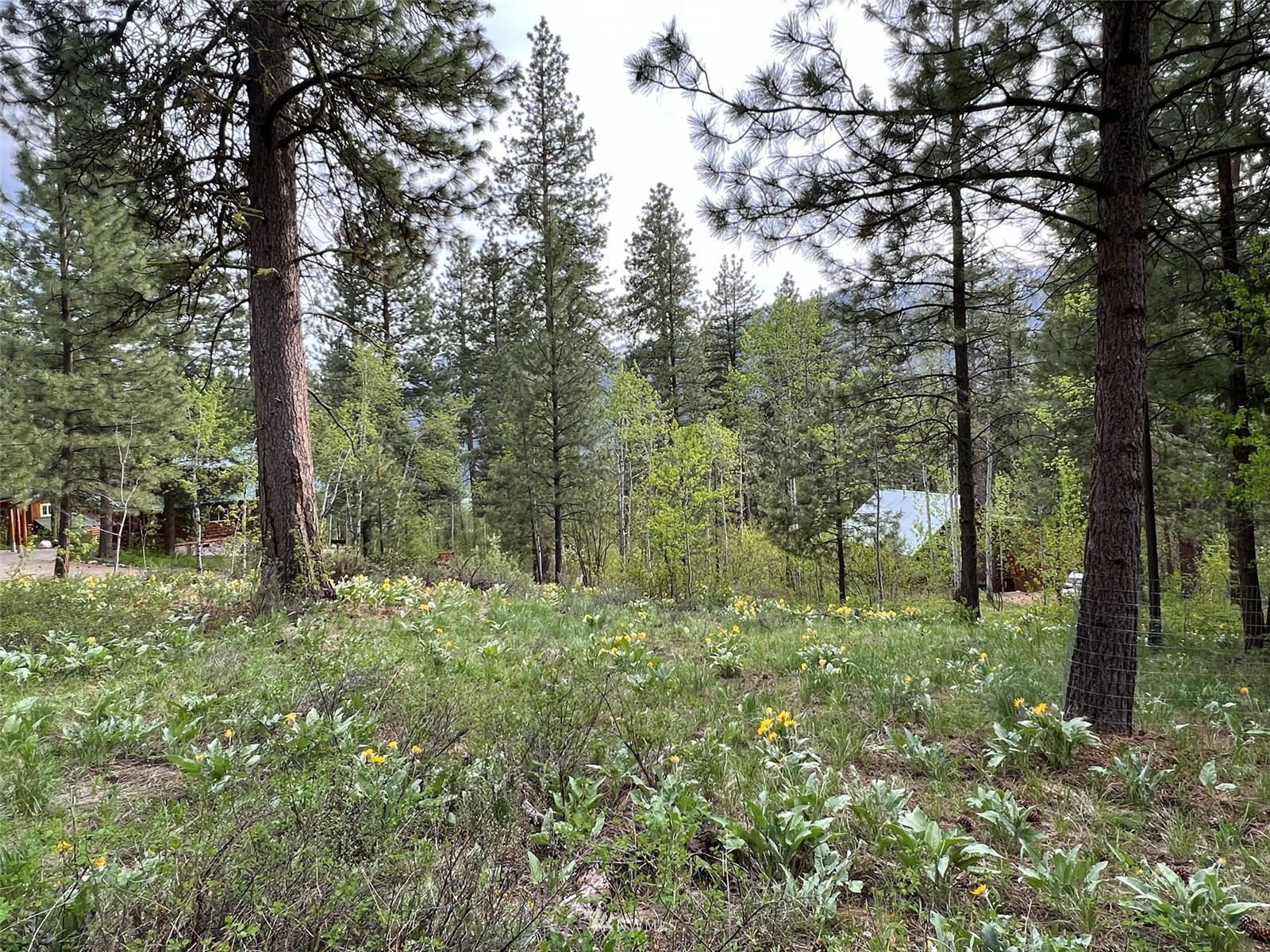 20 Trillium Road Winthrop, WA 98862 - Photo 4 of 15 a big yard with lots of green space and fountain