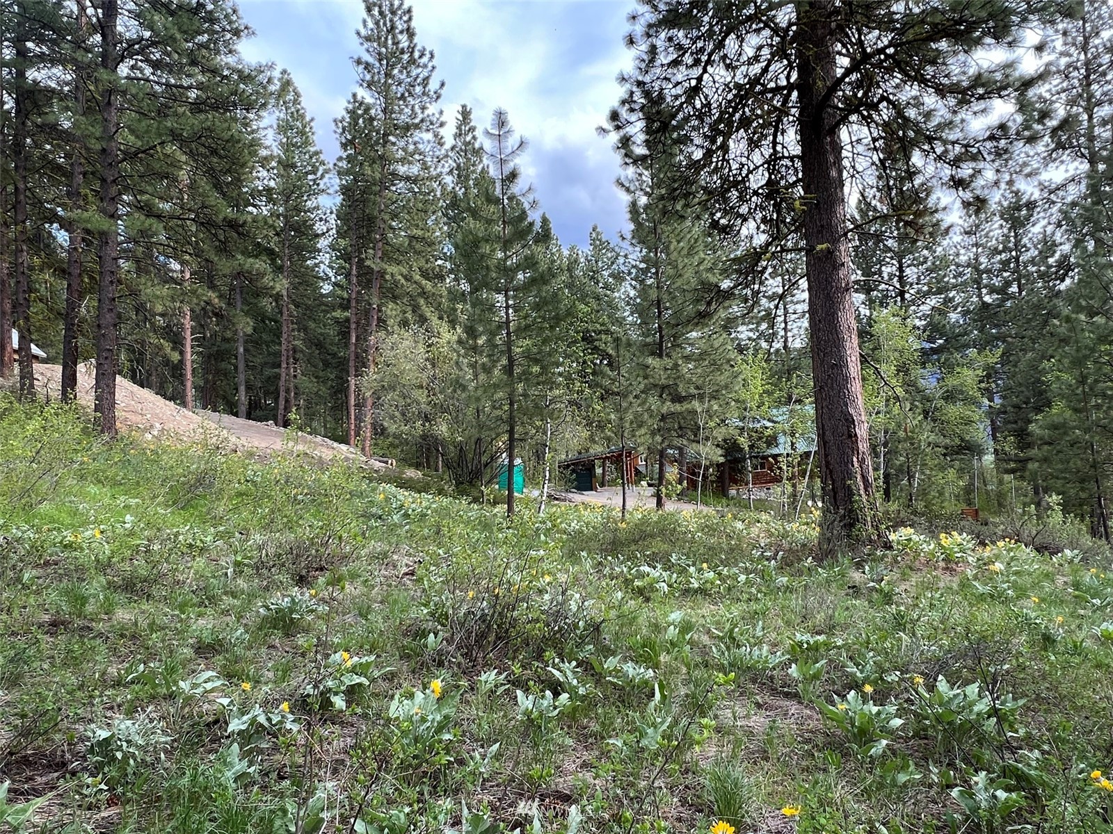 20 Trillium Road Winthrop, WA 98862 - Photo 5 of 15 a big yard with lots of green space and plants