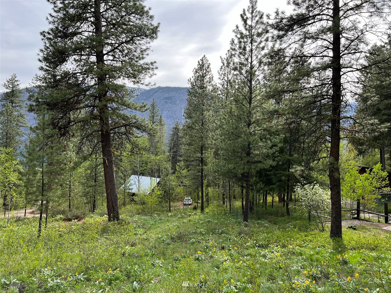 20 Trillium Road Winthrop, WA 98862 - Photo 8 of 15 a green field with lots of trees