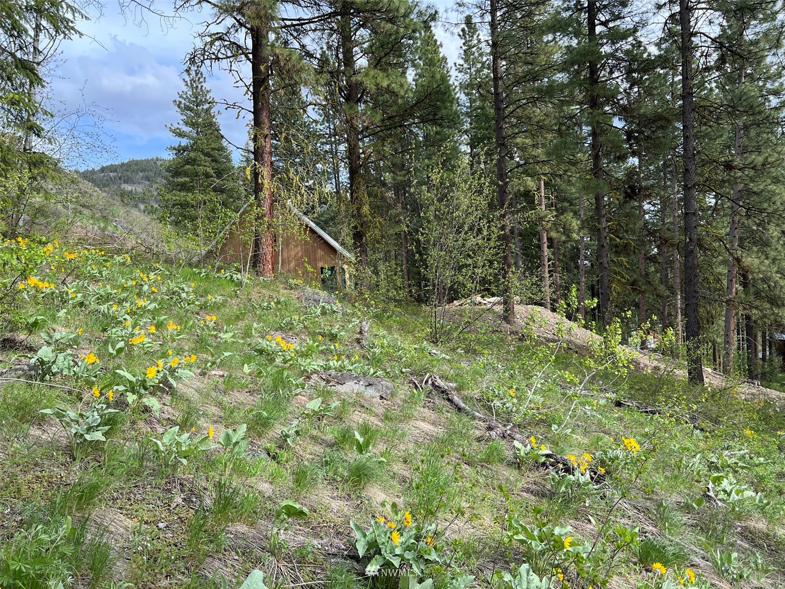 20 Trillium Road Winthrop, WA 98862 - Photo 9 of 15 a backyard of a house with lots of green space