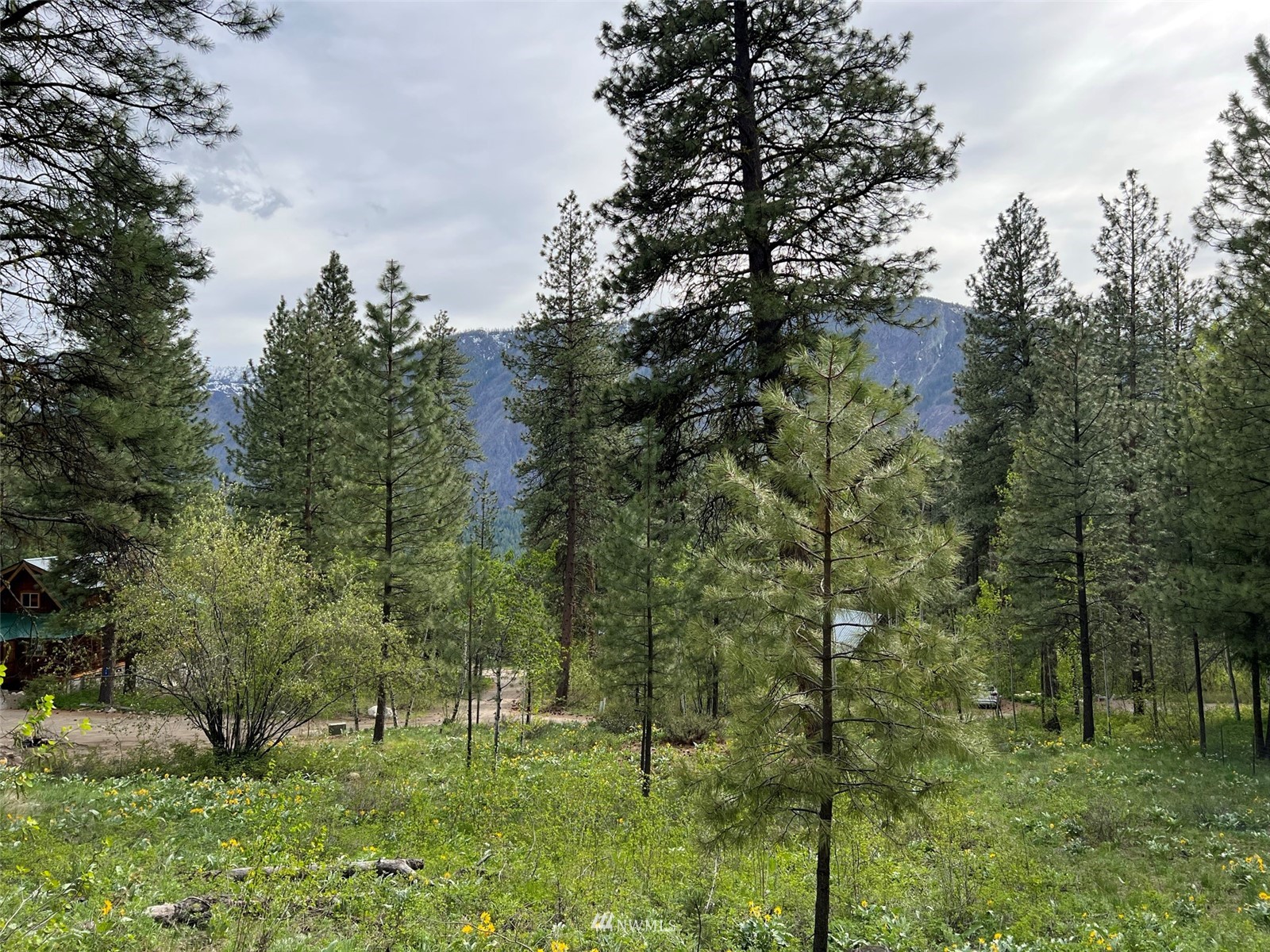 20 Trillium Road Winthrop, WA 98862 - Photo 10 of 15 a big yard with lots of green space and plants