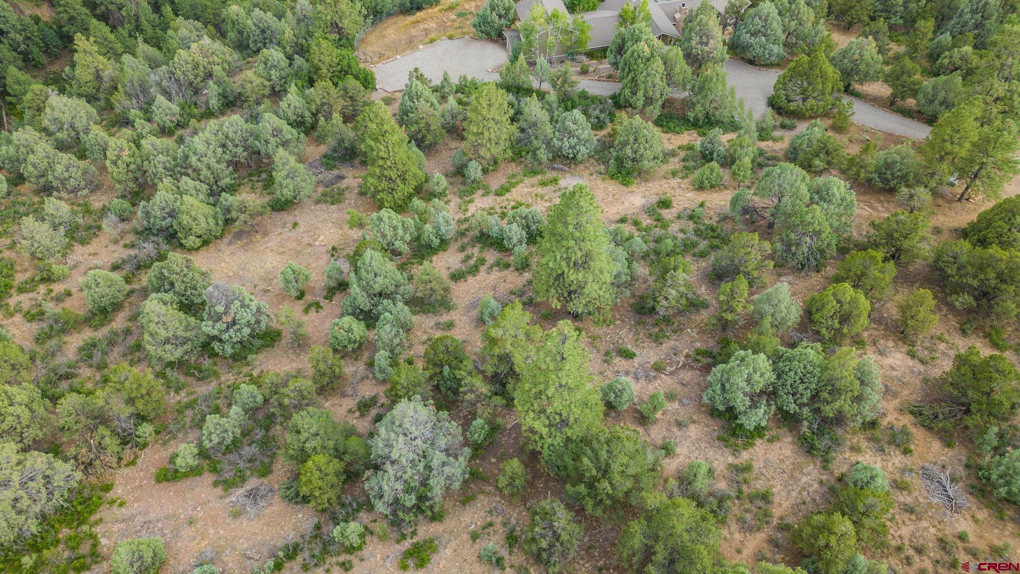 285 Logging Trail Road Durango, CO 81303 - Photo 13 of 23 a view of a forest with a tree