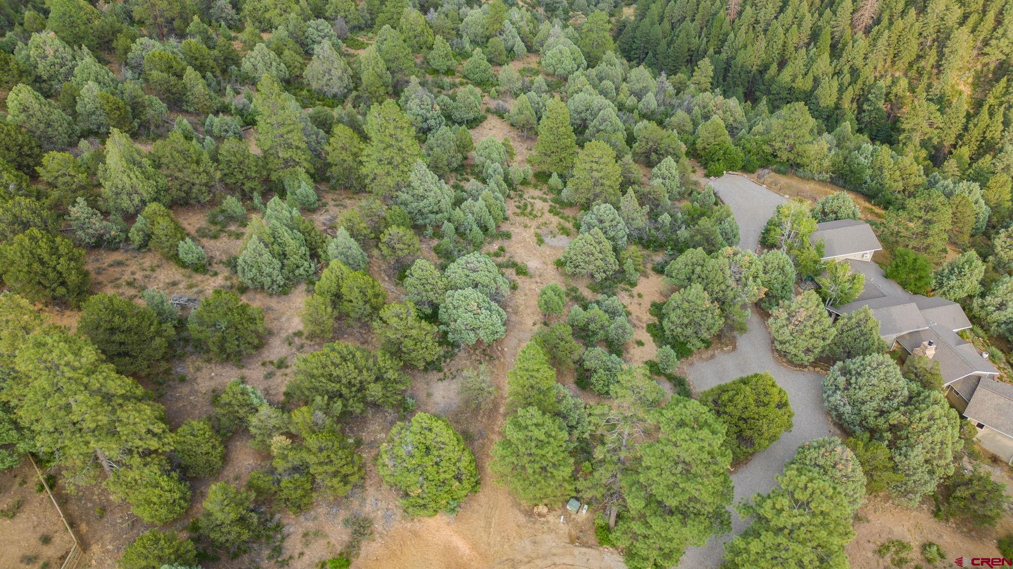 285 Logging Trail Road Durango, CO 81303 - Photo 14 of 23 a view of a forest with a building