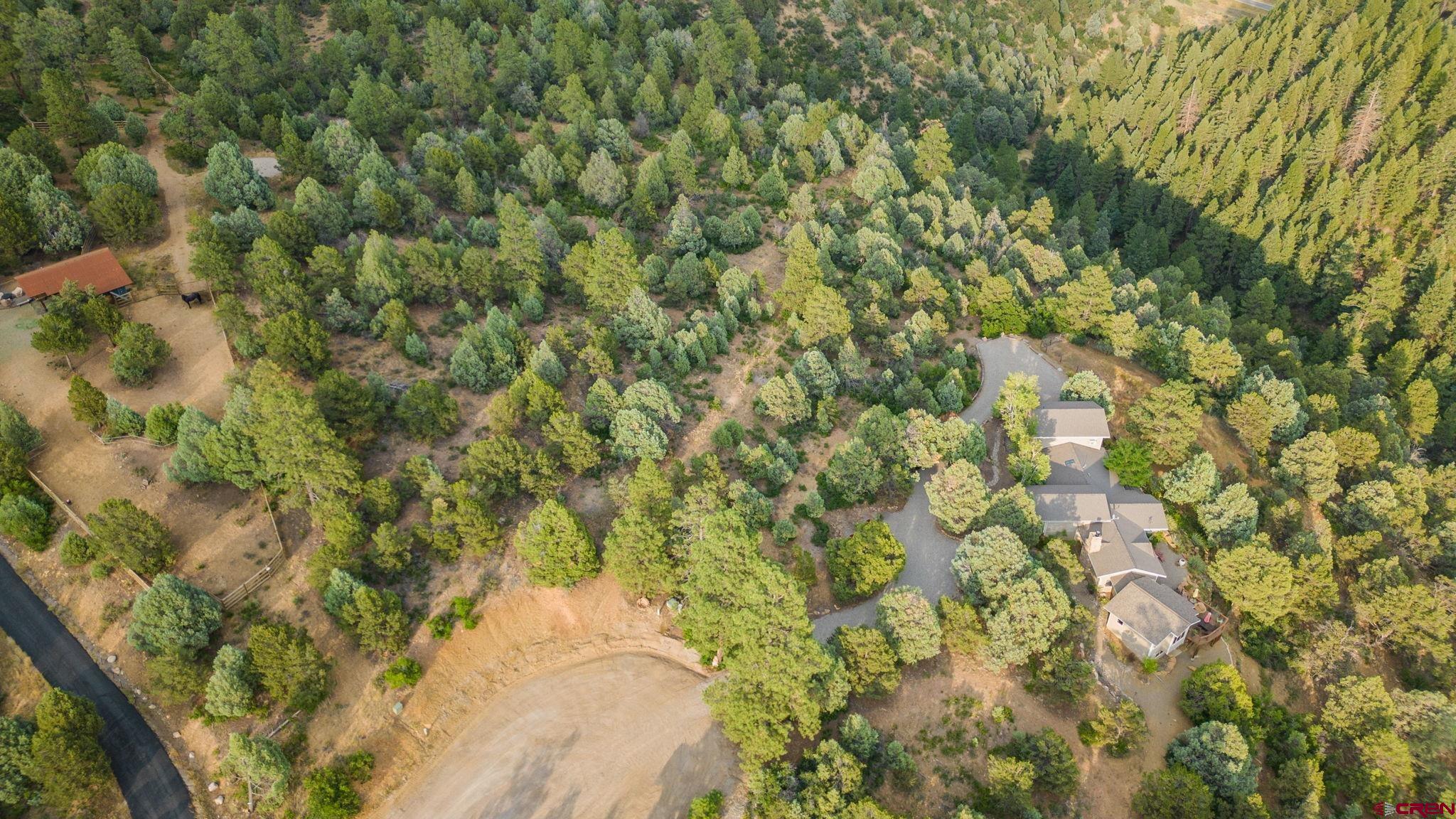 285 Logging Trail Road Durango, CO 81303 - Photo 15 of 23 a view of a yard