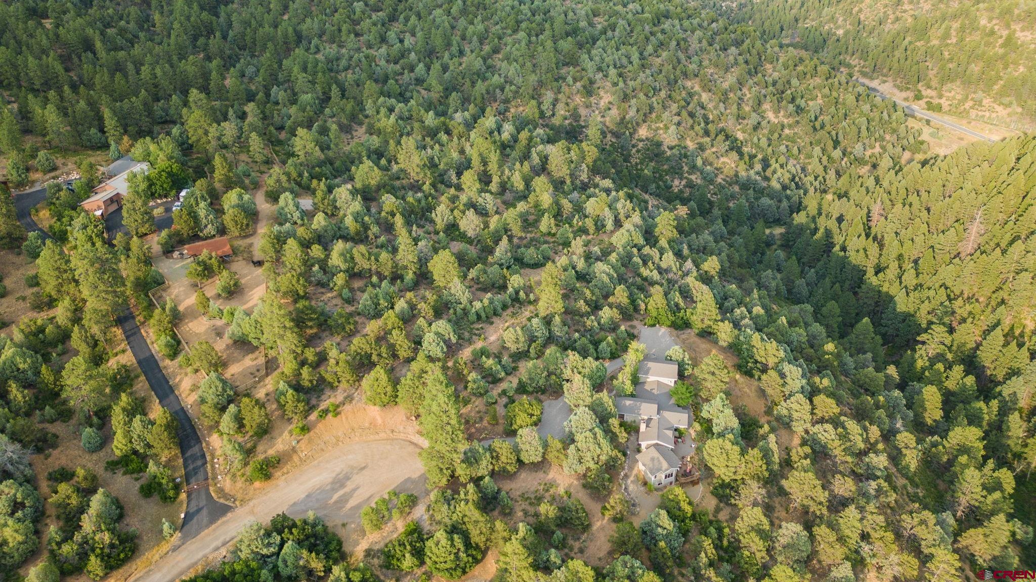 285 Logging Trail Road Durango, CO 81303 - Photo 16 of 23 a view of a yard with a tree
