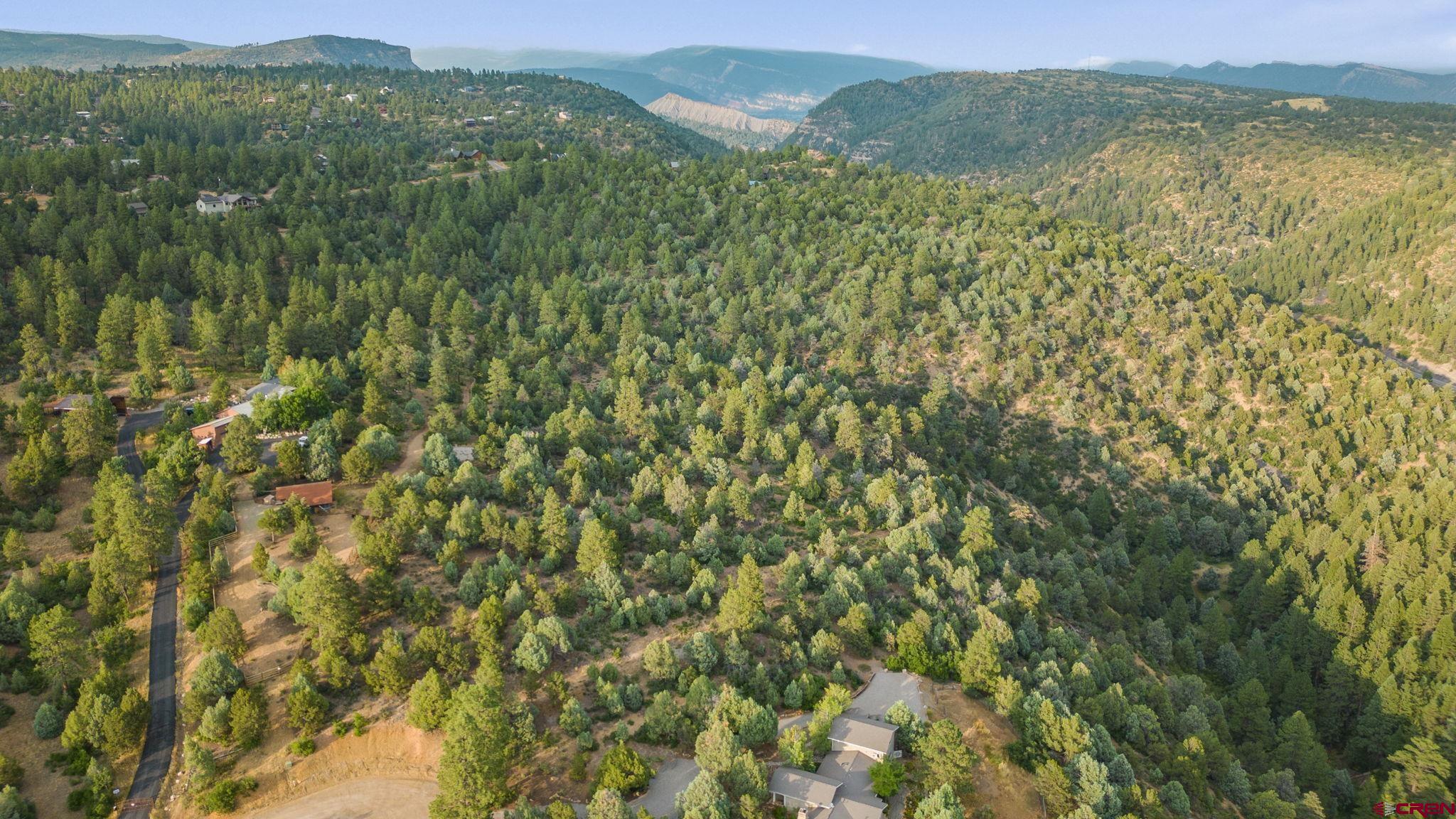 285 Logging Trail Road Durango, CO 81303 - Photo 17 of 23 a view of a lush green field with a mountain in the background