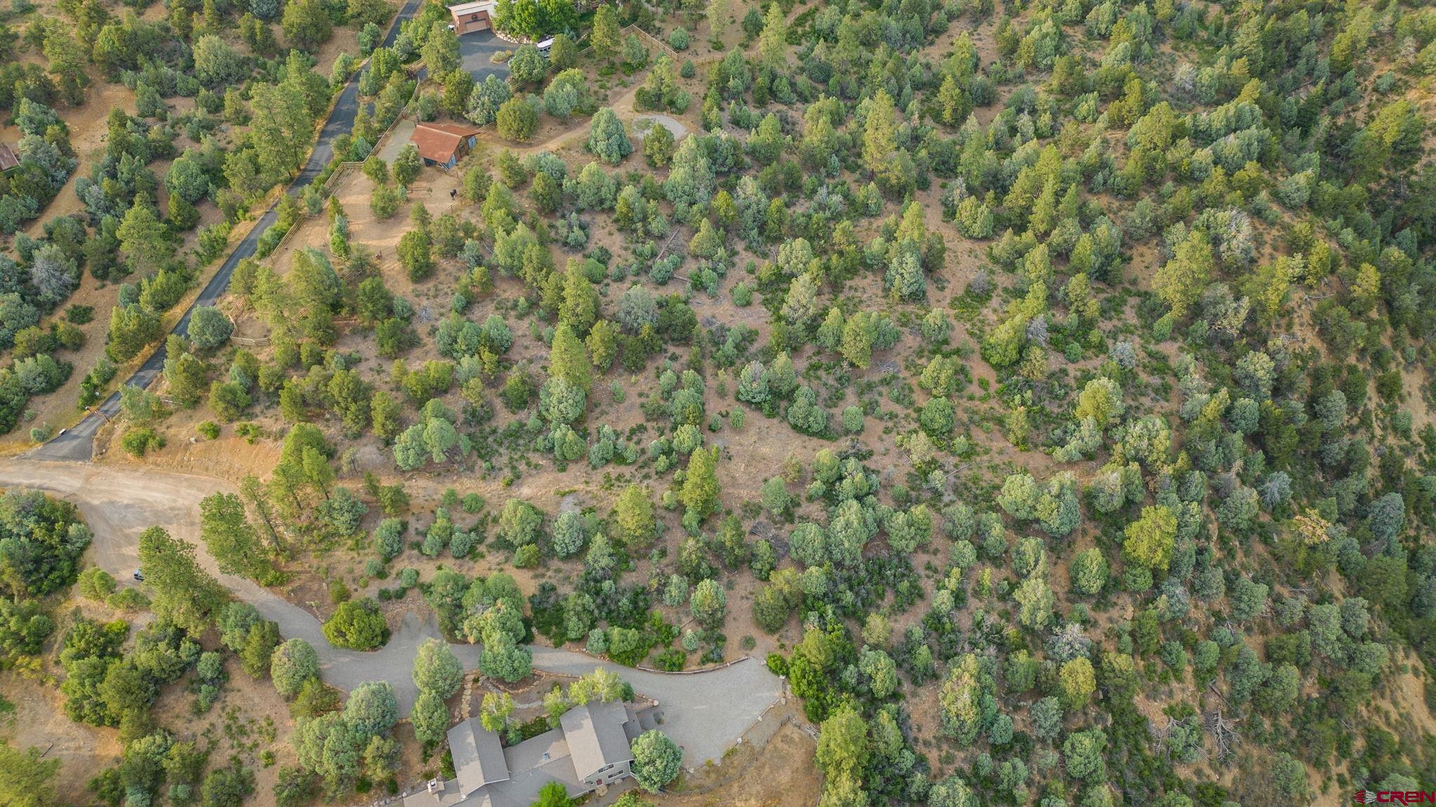 285 Logging Trail Road Durango, CO 81303 - Photo 19 of 23 a view of a yard with a tree