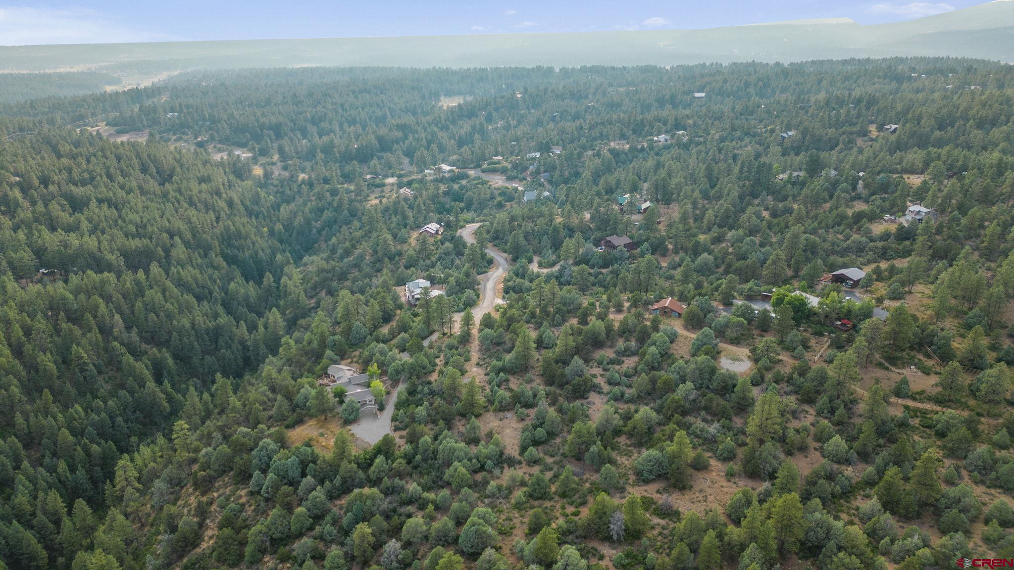 285 Logging Trail Road Durango, CO 81303 - Photo 20 of 23 a view of a city with lush green forest