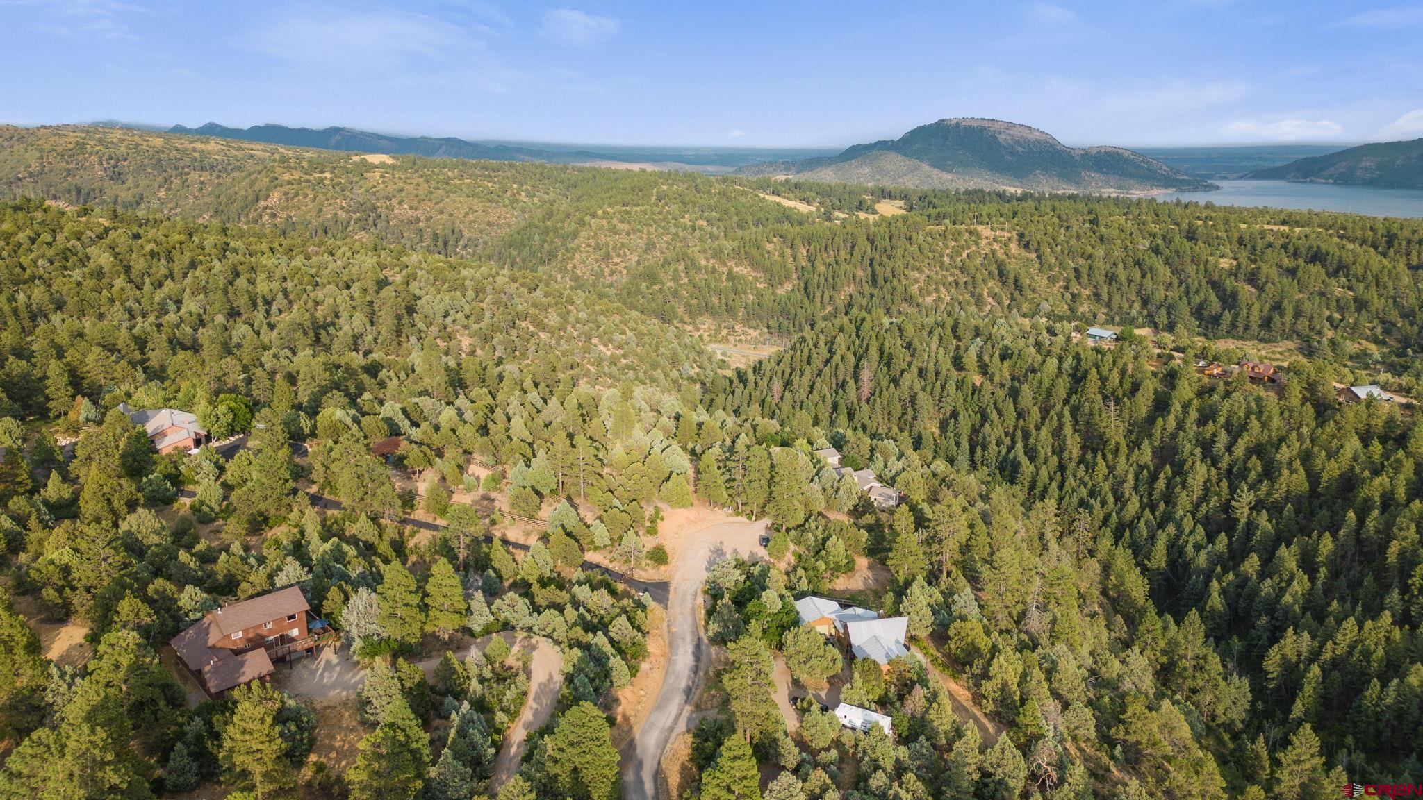 285 Logging Trail Road Durango, CO 81303 - Photo 2 of 23 a view of a lush green hillside and a houses