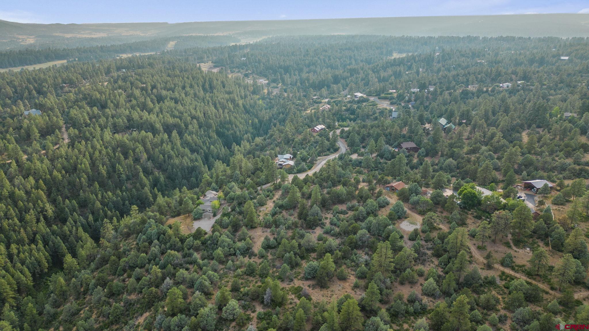 285 Logging Trail Road Durango, CO 81303 - Photo 21 of 23 a view of a city with lush green forest