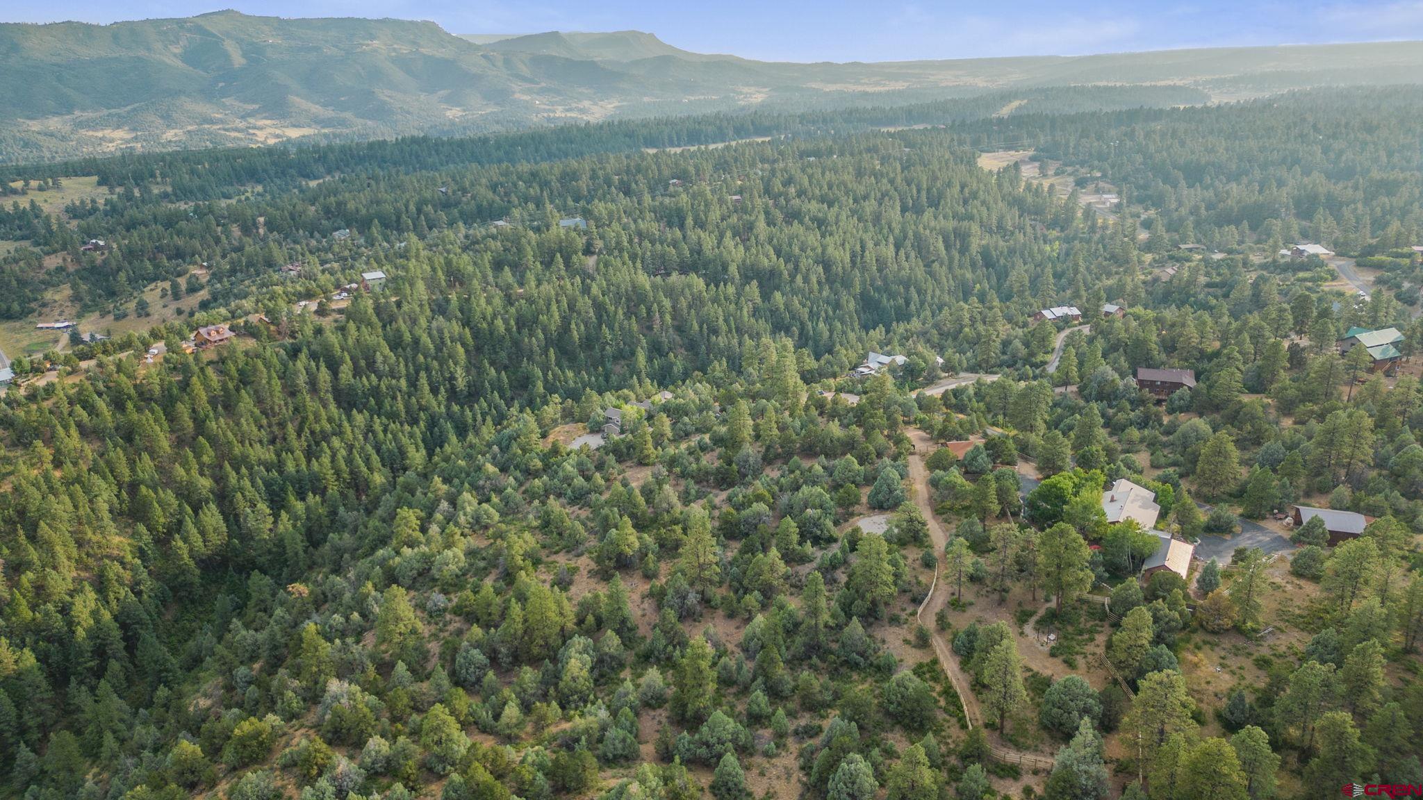 285 Logging Trail Road Durango, CO 81303 - Photo 22 of 23 a view of a lush green hillside and houses