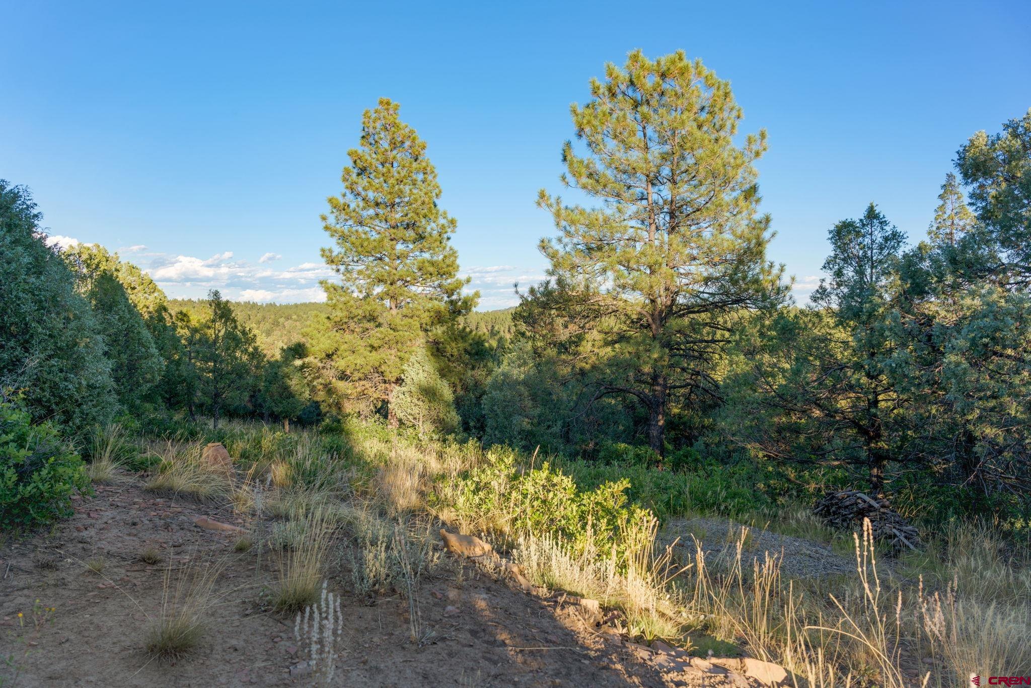 285 Logging Trail Road Durango, CO 81303 - Photo 23 of 23