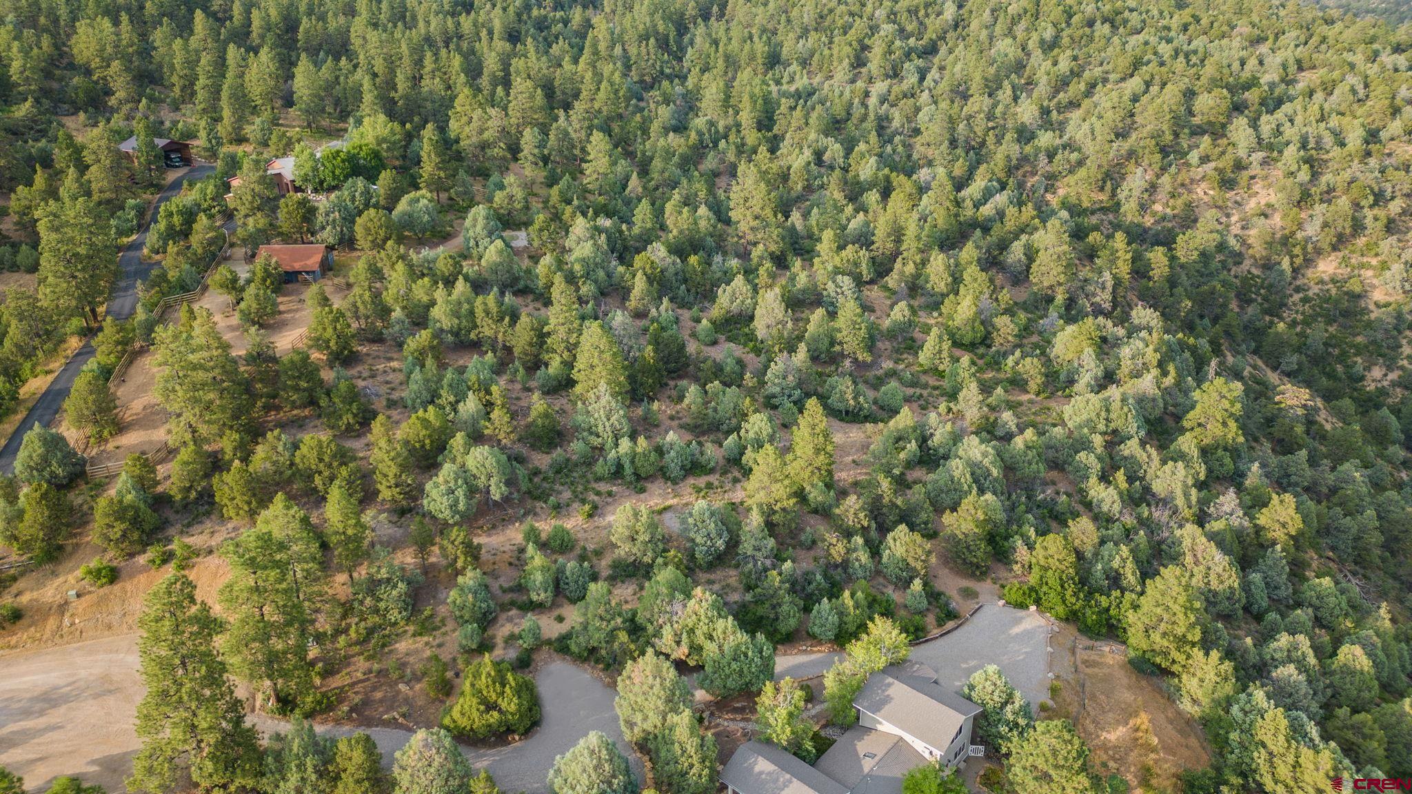 285 Logging Trail Road Durango, CO 81303 - Photo 4 of 23 a view of a house with a street