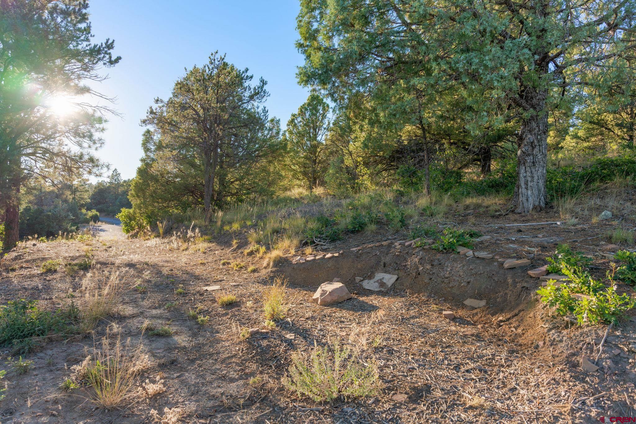 285 Logging Trail Road Durango, CO 81303 - Photo 5 of 23 a view of a yard with plants and trees