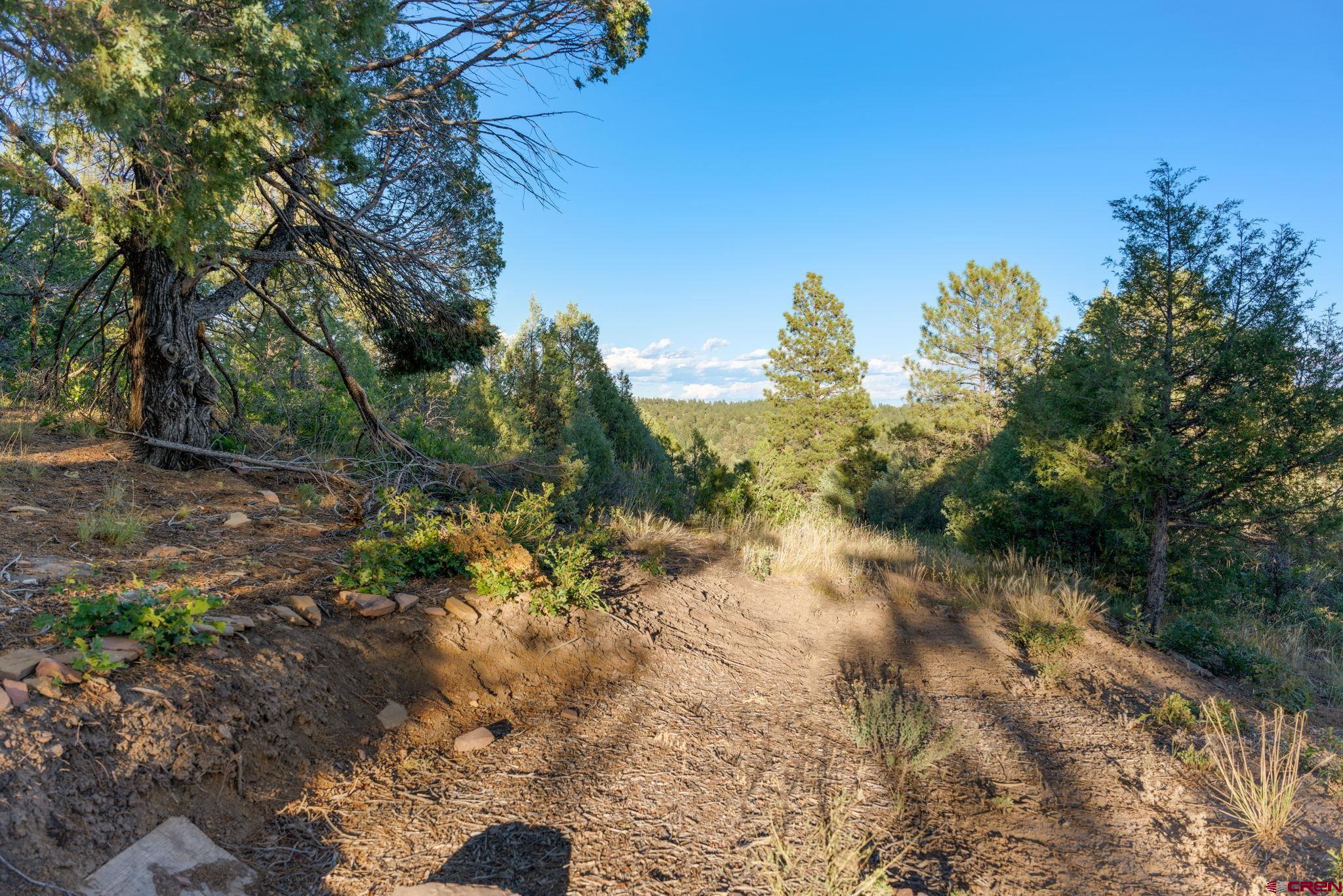 285 Logging Trail Road Durango, CO 81303 - Photo 6 of 23 a backyard of a house with lots of green space
