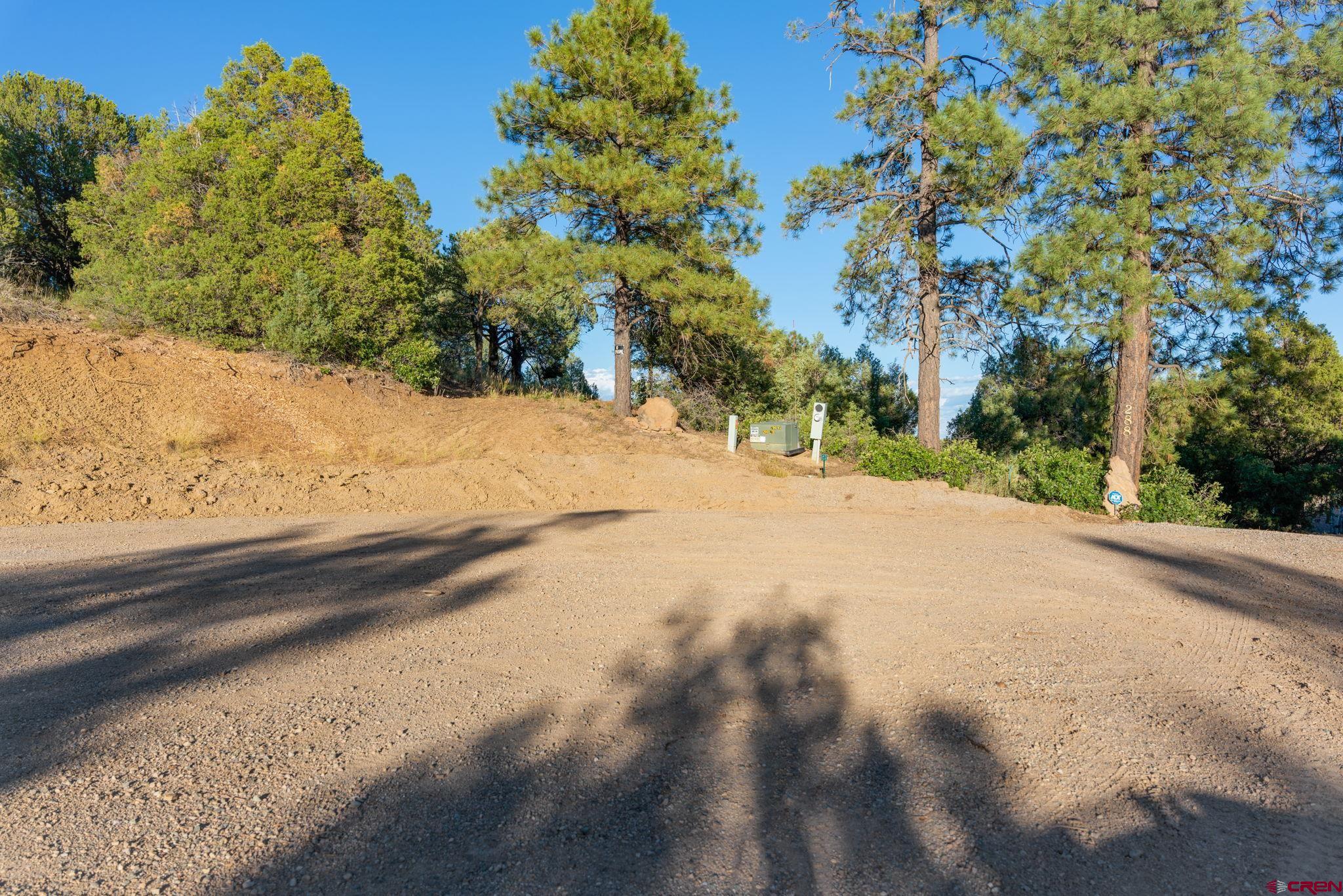 285 Logging Trail Road Durango, CO 81303 - Photo 7 of 23 a view of dirt yard and mountain view