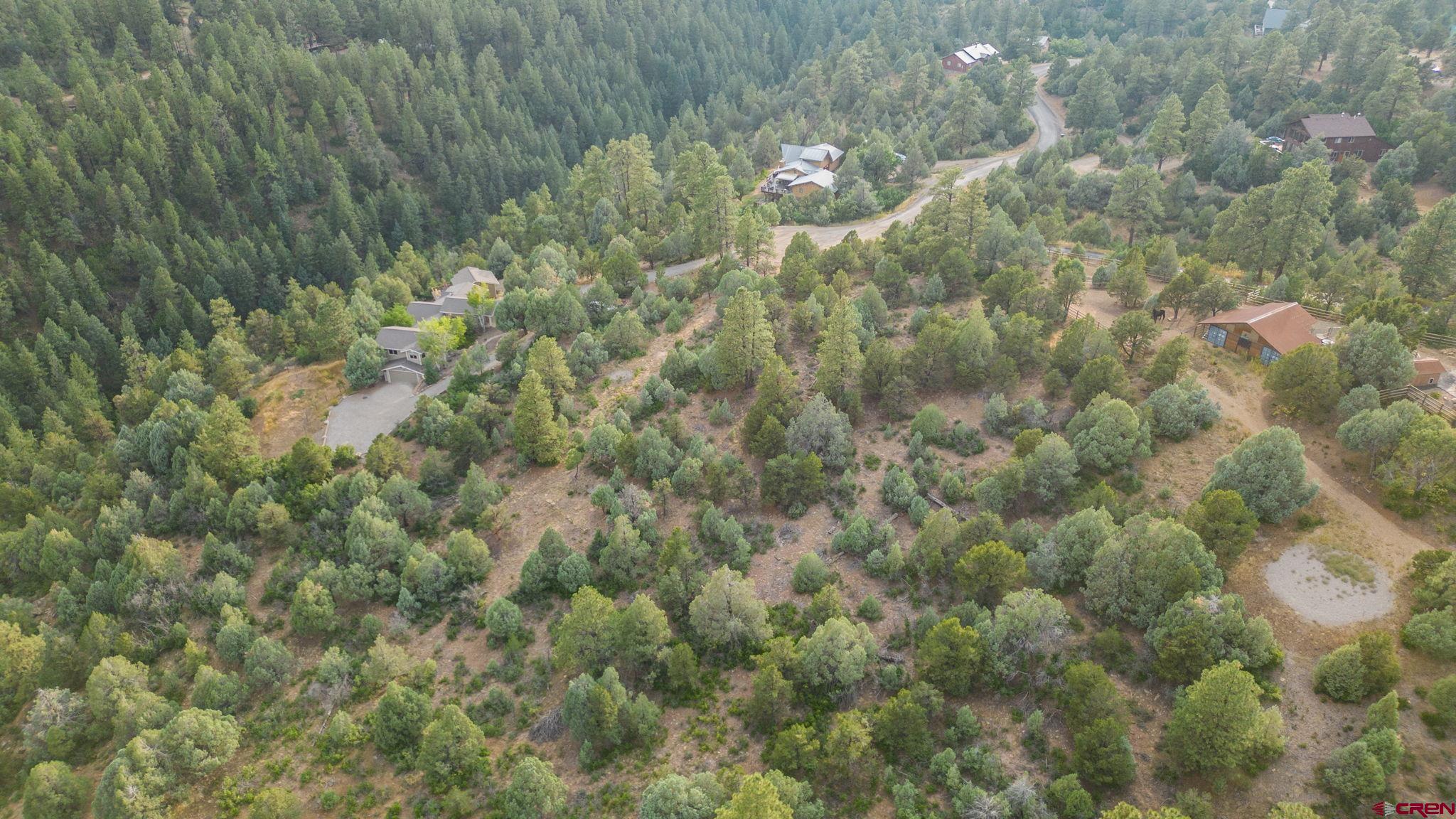 285 Logging Trail Road Durango, CO 81303 - Photo 10 of 23 a view of a forest that has a tree
