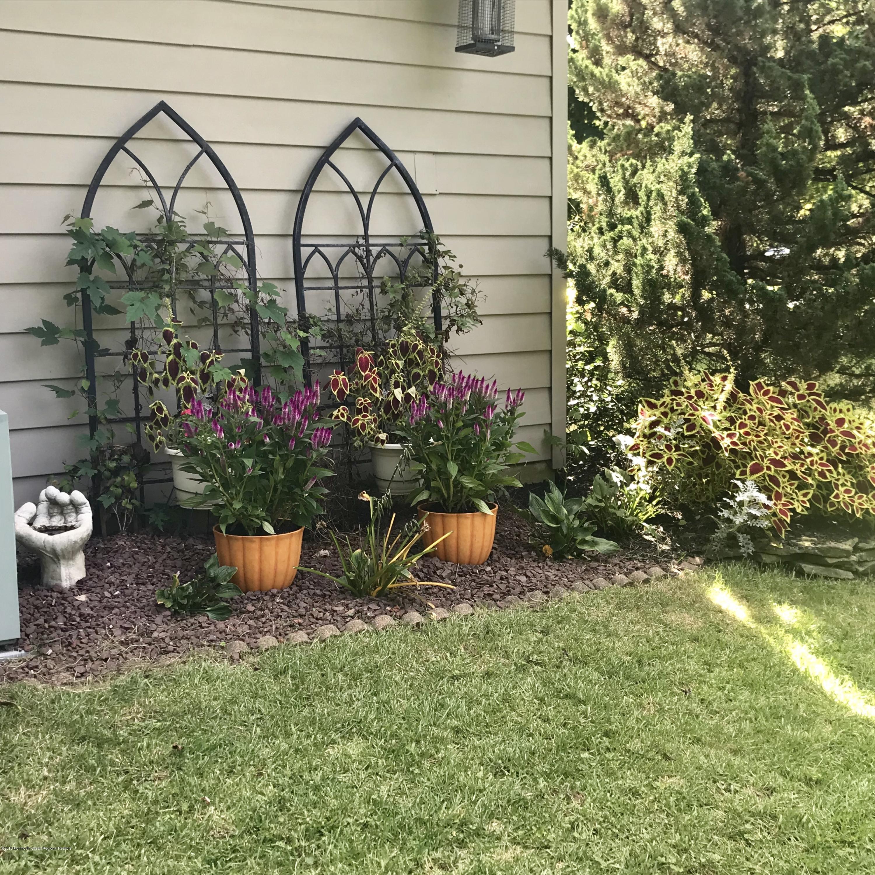 7 Hendrickson Place Fair Haven, NJ 07704 - Photo 24 of 26 BACK YARD