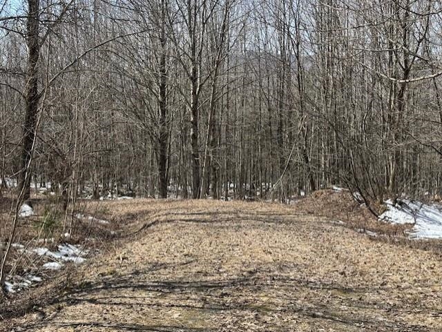 1749 Regan Road Montgomery, VT 05471 - Photo 11 of 15