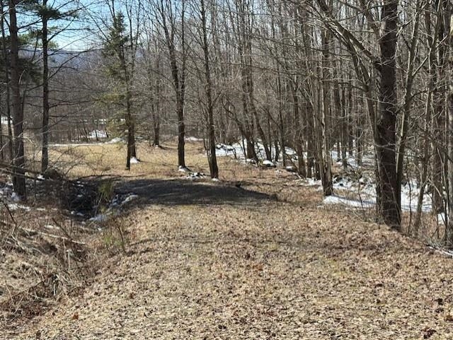 1749 Regan Road Montgomery, VT 05471 - Photo 12 of 15