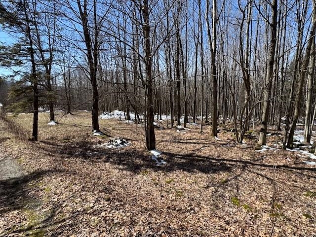 1749 Regan Road Montgomery, VT 05471 - Photo 14 of 15