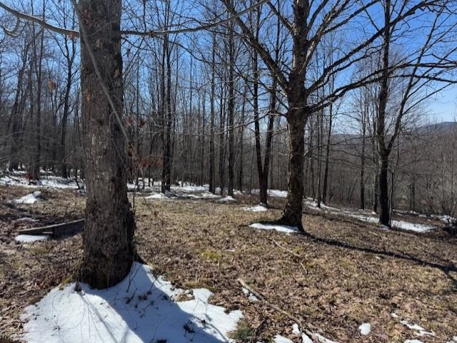 1749 Regan Road Montgomery, VT 05471 - Photo 4 of 15