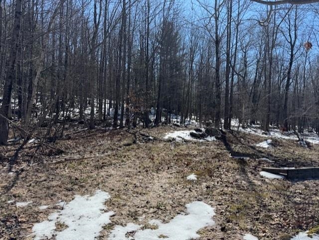 1749 Regan Road Montgomery, VT 05471 - Photo 5 of 15