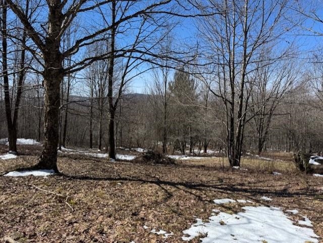 1749 Regan Road Montgomery, VT 05471 - Photo 6 of 15