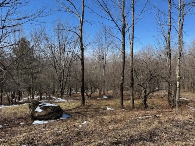 1749 Regan Road Montgomery, VT 05471 - Photo 7 of 15