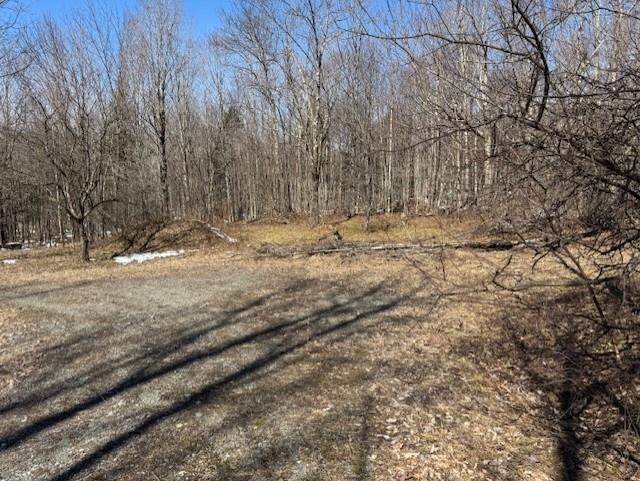 1749 Regan Road Montgomery, VT 05471 - Photo 10 of 15