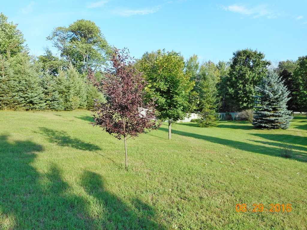 12555 East Tatch Road Omena, MI 49674 - Photo 48 of 51 1829248-48.JPG