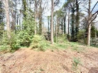 2076 Azalea Circle Decatur, GA 30033 - Photo 39 of 39