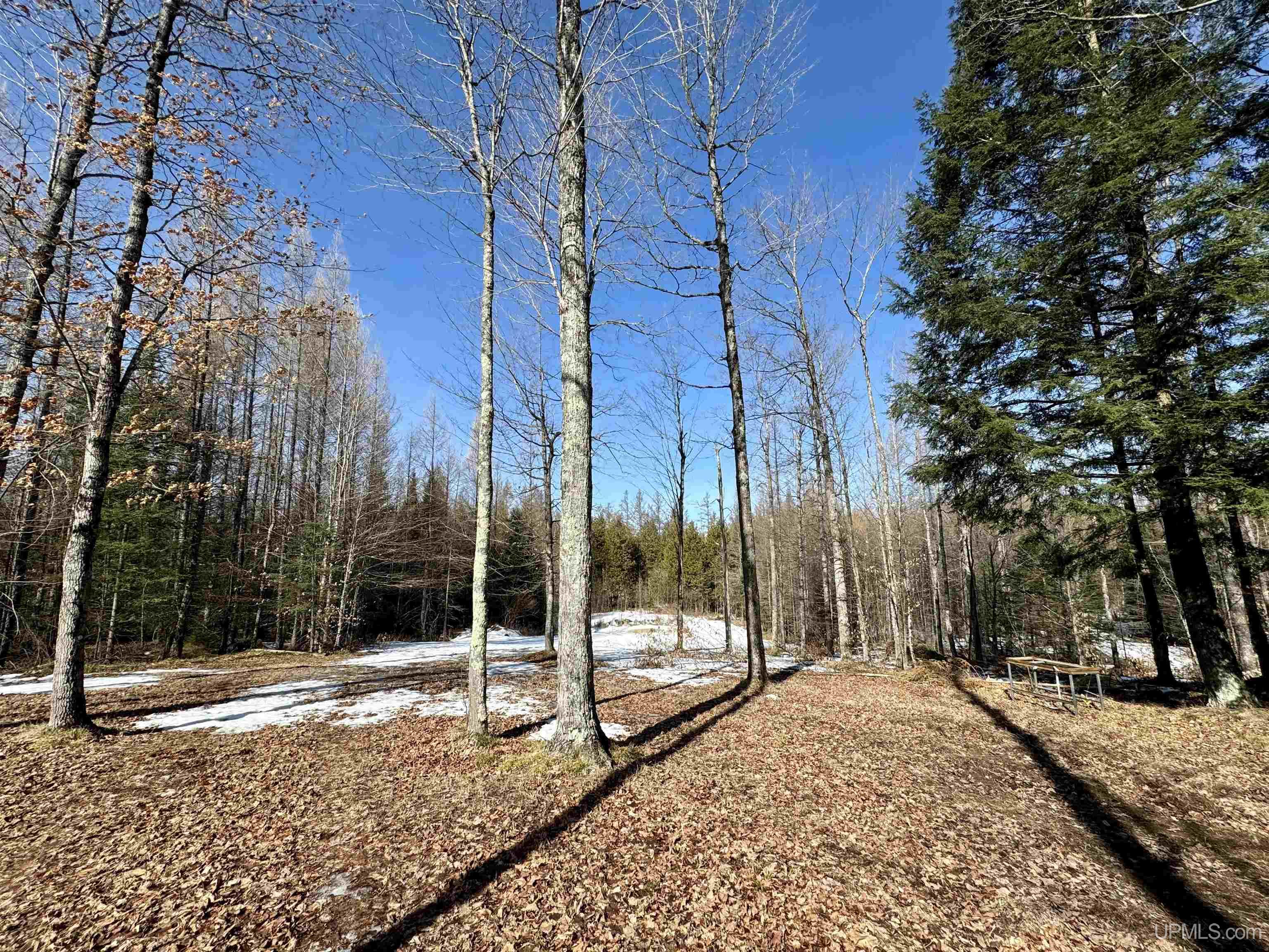 W5850 Old CC Road Perronville, MI 49873 - Photo 21 of 25